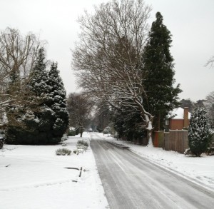 Snow Jan 13