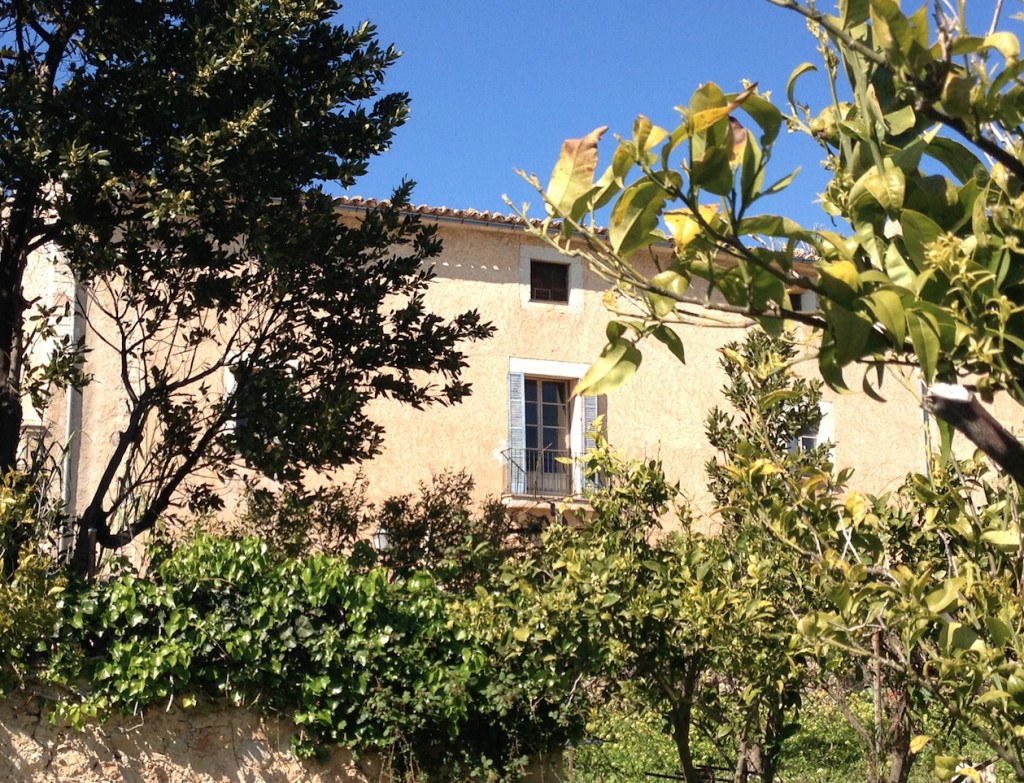 Finca 1